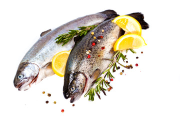  fish market 