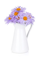 Blue camomile flowers in jug