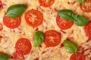 texture margarita pizza with tomato, basil and cheese