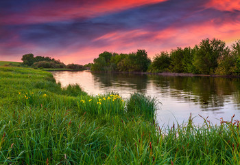 dramatic sunset over flowering meadow by river