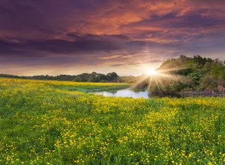 Keuken spatwand met foto Colorful spring landscape on the siver with field of yellow flow © Andrew Mayovskyy