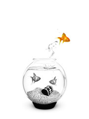 Colored Fish jumping out of a Black and White Fishbowl.