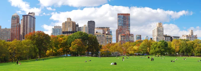Wall murals Central Park New York City Manhattan Central Park skyline panorama