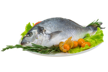 Raw dorada
