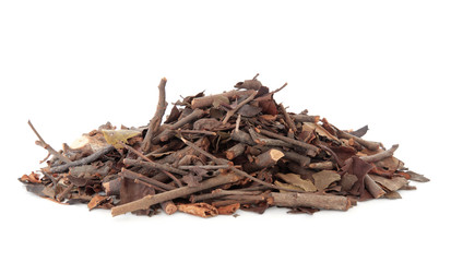 Mulberry Mistletoe Stem