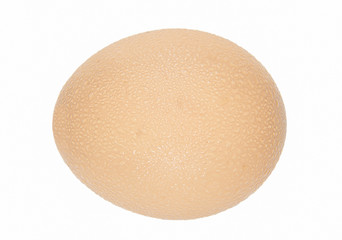 Water Droplets on a egg shell Surface