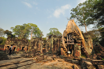 Fototapeta na wymiar Części korzenia drzewa zarastające starożytnej świątyni Preah Khan w angk