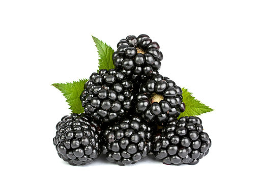 Blackberry with leaf