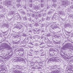 Fototapeta na wymiar reptile skin painted violet closeup
