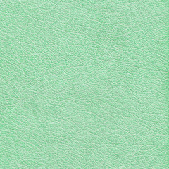 green leather texture