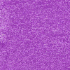 Fototapeta premium violet leather texture