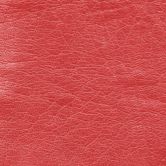 red leather texture closeup