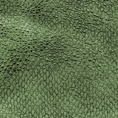 green leather texture