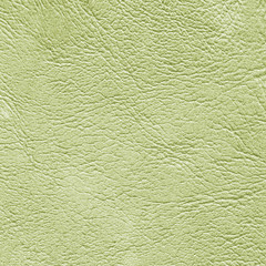 pale green leather texture closeup