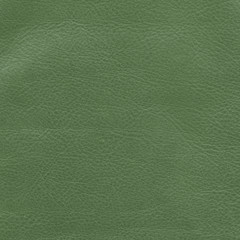 green leather texture for design-work