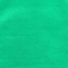 Fototapeta premium green leather texture for design-work