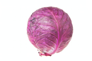Obraz premium Single red cabbage