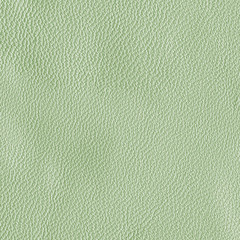 pale green leather texture