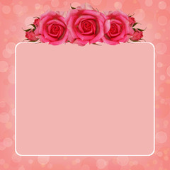 Pink background with rose flowers