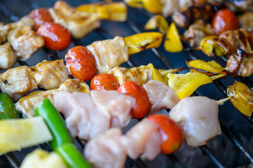 Vegetarian bbq and on a grilling pan