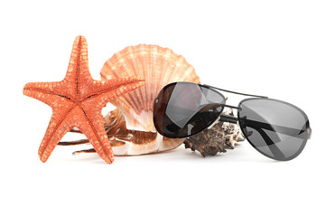 sun glasses on sea star and shell