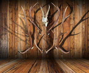 hunting trophies on wood