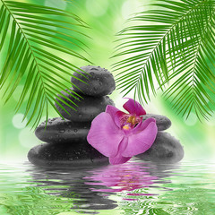 spa Background -  black stones and bamboo on water