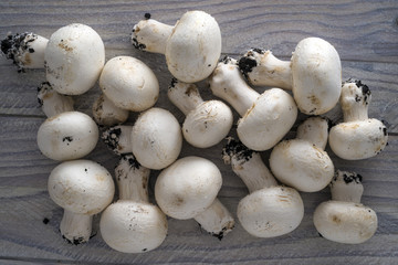 Champignon