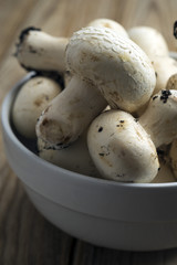 Champignon