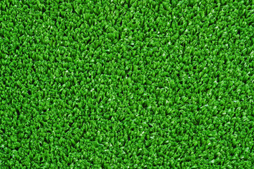 Fototapeta premium grass texture / grass wall