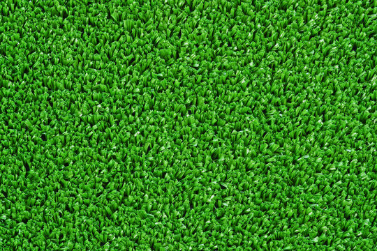grass texture / grass wall