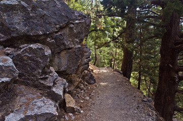 Trail through Samaria gorge, island of Crete