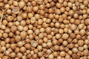 coriander seeds