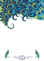 Peacock  background