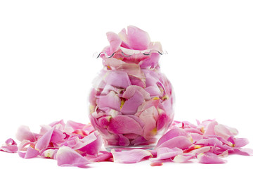 Pink Rose Petals in a Vase