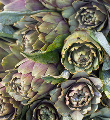 Artichokes on a market