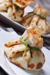 Pancake bag with green onion closeup on a white plate