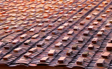Stacks on the tiled roof