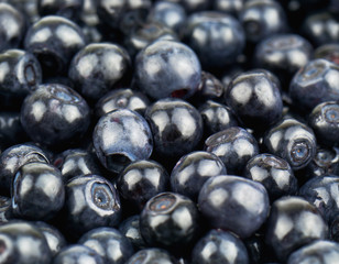 juicy blueberry