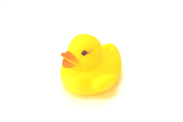 Yellow rubber duck toy
