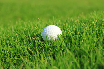 Golf ball in rough grass on fairway