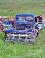 Old cars dump