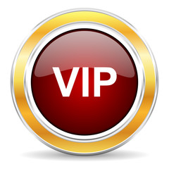 vip icon