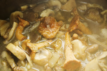 mushroom soup with potatoes and chanterelle, close-up