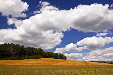 Fototapeta na wymiar Wiejski krajobraz z białymi chmurami na błekitnym niebie