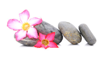 Fototapeta na wymiar Zen And Spa Stone With Frangipani Flower