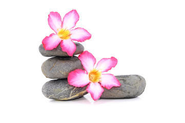 Obraz na płótnie Canvas Zen And Spa Stone With Frangipani Flower