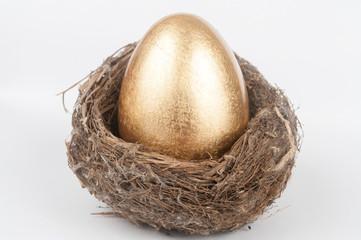 Golden egg in bird nest