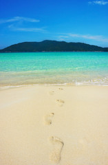 Serene view of footprints in the sandy beach
