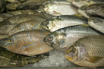 Fish for sale, Kuching, Sarawak, Malaysia